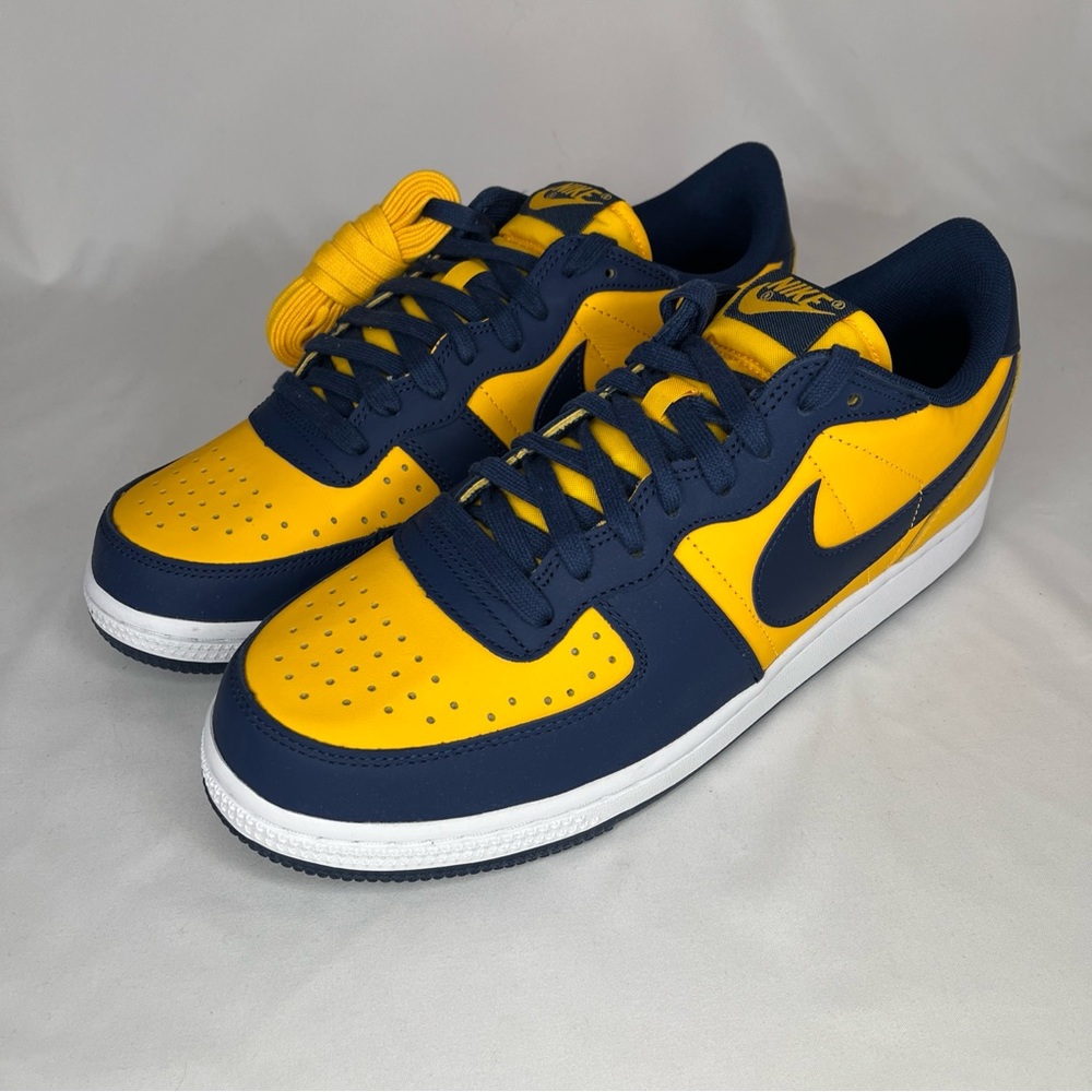 Nike Terminator Low OG - Michigan - Men's 10 - NWT